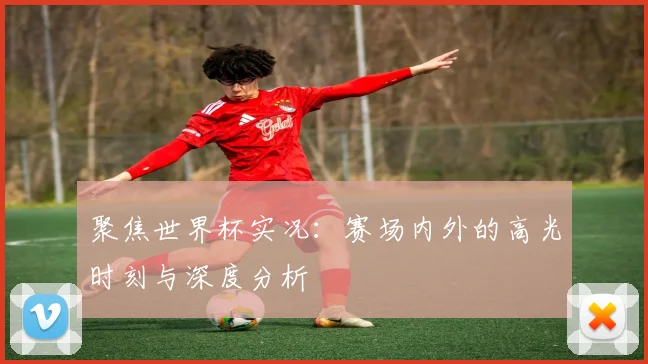 聚焦世界杯实况：赛场内外的高光时刻与深度分析