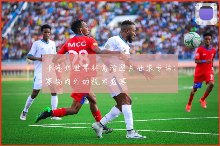 卡塔尔世界杯高清图片独家专访：赛场内外的视觉盛宴