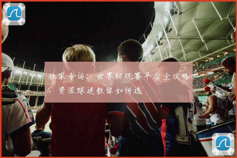 独家专访：世界杯观赛平台全攻略，资深球迷教你如何选