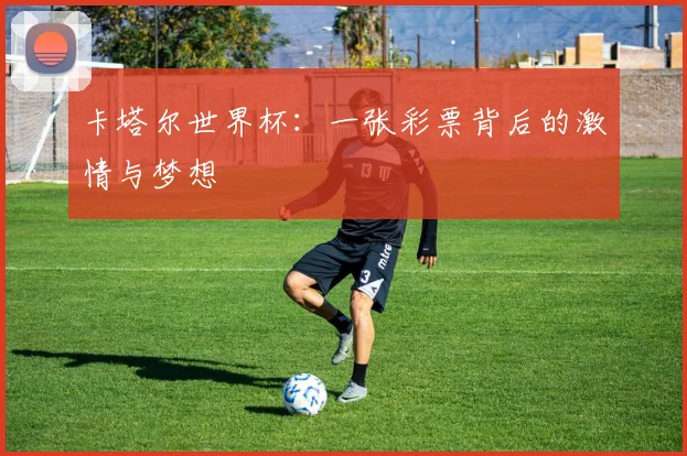 卡塔尔世界杯：一张彩票背后的激情与梦想