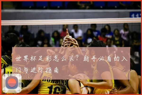 世界杯足彩怎么买？新手必看的入门与进阶指南