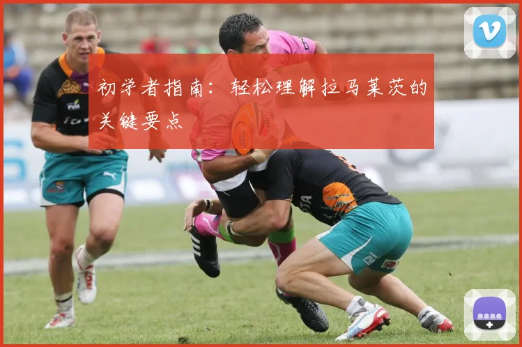 初学者指南：轻松理解拉马莱茨的关键要点