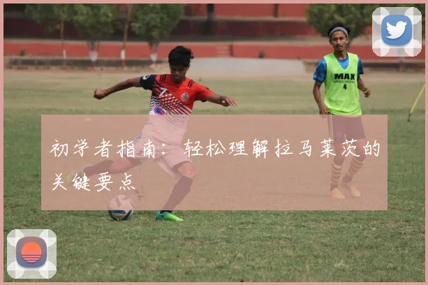 初学者指南：轻松理解拉马莱茨的关键要点